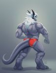  clothing dragon furrybob male muscular speedo swimsuit 