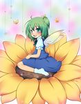  bad_id bad_pixiv_id blush bow bug butterfly daiyousei fairy flower green_eyes green_hair hair_bow highres insect momo_michi on_flower short_hair side_ponytail sitting socks solo sunflower touhou wariza wings 