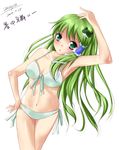  armpits bikini frog front-tie_top green_eyes green_hair kochiya_sanae long_hair mozya shochuumimai solo swimsuit touhou 