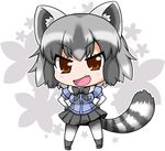  :d animal_ears blue_shirt blush bodystocking brown_eyes chibi common_raccoon_(kemono_friends) eyebrows_visible_through_hair eyelashes fang floral_background full_body fur_collar gradient_hair grey_hair grey_legwear grey_ribbon grey_skirt hands_on_hips jpeg_artifacts kemono_friends kneehighs looking_at_viewer multicolored_hair neck_ribbon noai_nioshi open_mouth outline pantyhose pleated_skirt pocket puffy_short_sleeves puffy_sleeves raccoon_ears raccoon_tail ribbon shirt short_hair short_sleeves skirt smile socks solo standing striped_tail tail tsurime two-tone_hair v-shaped_eyebrows white_background white_hair white_outline 