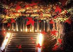  bad_id bad_pixiv_id black_coat blurry commentary_request depth_of_field falling_leaves forest lantern leaf light light_particles maple_leaf maple_tree motion_blur nature original scenery someya_mai stairs standing tree 