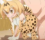  10s 1boy 1girl :d aliasing all_fours animal_ears bare_shoulders blonde_hair blush bow bowtie cat_ears cat_tail clothed_female_nude_male elbow_gloves gloves hetero kemono_friends leopard_print navel no_nose nude open_mouth polka_dot polka_dot_gloves polka_dot_legwear polka_dot_skirt serval_(kemono_friends) sex skirt sweat tail tomu_(tomubobu) yellow_eyes 