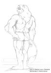 anthro avias_(artist) briefs butt clothing feline lion looking_back male mammal monochrome muscular sketch solo standing underwear 