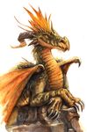  2017 absurd_res black_eyes claws crossed_arms dragon feral green_scales half-length_portrait hi_res horn kenket lying male membranous_wings on_front orange_sclera orange_skin painting_(artwork) portrait rock scales scalie simple_background slit_pupils smile solo spikes traditional_media_(artwork) western_dragon white_background white_scales wings 