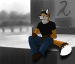  anthro avias_(artist) canine clothed clothing fox fur hair male mammal outside sitting smile solo 