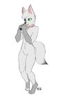  2017 5_fingers absurd_res anthro arctic_fox athletic bell canine casual_nudity collar cute digitigrade excited flat_chested flat_colors fluffy fox fur girly green_eyes grey_fur hi_res innocent mammal midriff nude open_mouth serulean simple_background simple_color smile smiley solo standing white_background white_fur 