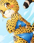  ballsack_outline blush butt cheetah clothed clothing crossdressing embarrassed feline male mammal rear_view solo standing swimsuit unrealplace whiskers 