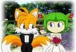  2017 anthro bigdon1992 blush bride canine clothed clothing cosmo cosmo_the_seedrian dress female flower fox invalid_tag male male/female mammal plant romantic_couple seedrian sonic_(series) sonic_x tails_miles_prower tails_prower wedding wedding_dress young 