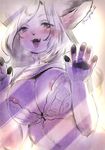  2017 5_fingers against_window anthro areola blush bra breasts cat clothing drooling eyelashes fangs feline female hair kemono kiichi long_hair looking_at_viewer mammal open_mouth raised_shirt saliva signature solo underwear whiskers 