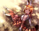  animal_ears animal_print arm_support bangs belt blonde_hair blush boots dappled_sunlight dress elbow_gloves extra_ears from_above gloves grass kemono_friends light_smile looking_at_viewer orange_eyes outdoors serval_(kemono_friends) serval_ears serval_print serval_tail short_hair sitting sleeveless sleeveless_dress solo sunlight tail tan_(tangent) thighhighs 
