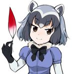  :d animal_ears black_gloves black_hair black_neckwear black_ribbon blue_hair blue_shirt bodystocking brown_eyes common_raccoon_(kemono_friends) eyebrows eyebrows_visible_through_hair eyelashes fur_collar gloves grey_hair jitome jpeg_artifacts kanimura_ebio kemono_friends looking_at_viewer multicolored_hair neck_ribbon open_mouth puffy_short_sleeves puffy_sleeves raccoon_ears ribbon sanpaku shirt short_hair short_sleeves simple_background smile solo upper_body white_background 