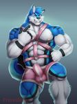  anthro briefs bulge canine clothing looking_at_viewer male mammal muscular nipples primodrago smile solo straps underwear 