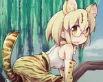  animal_ears animal_print bare_shoulders blonde_hair blue_sky cat_ears cat_tail commentary_request day elbow_gloves glasses gloves kemono_friends looking_at_viewer margay_(kemono_friends) margay_print open_mouth outdoors shirt short_hair skirt sky sleeveless sleeveless_shirt solo tail tree white_shirt yellow_eyes yoshi_(crossmind) 