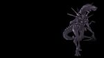  16:9 2015 alien alien_(franchise) ambiguous_gender black_background black_skin claws not_furry plagueofgripes queen royalty sharp_teeth simple_background solo spiked_tail teeth xenomorph xenomorph_queen 