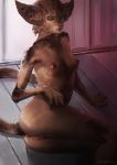  anthro breasts brown_fur domestic_cat felid feline felis female fur green_eyes hi_res inkersod mammal nipples pussy small_breasts solo 