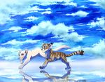  blue_eyes cat day feline female fur kitchiki mammal outside paws sky smile striped_fur stripes tiger white_fur 