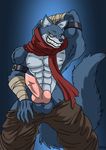  bergamo canine dragon_ball dragon_ball_super erection mammal muscular penis solo thedirtyshark wolf 