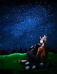  ambiguous_gender anthro canine clothed clothing dawnav duo feline fur hair hug male mammal night_sky outside sitting 