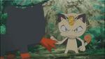  animated animated_gif cat litten meowth pokemon pokemon_(anime) pokemon_sm pokemon_sm_(anime) 