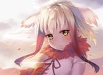  absurdres brown_eyes fur_collar gradient_hair head_wings highres ina_(inadiary) japanese_crested_ibis_(kemono_friends) kemono_friends looking_at_viewer multicolored_hair short_hair short_hair_with_long_locks smile solo sunrise white_hair wind 