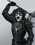  anthro armor canine clothed clothing dog fangs hvost looking_at_viewer male mammal smile solo standing teeth 