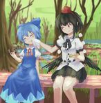  :t bare_tree bench black_hair black_neckwear black_ribbon black_skirt black_wings blue_bow blue_dress blue_hair blurry bow cirno closed_eyes collared_shirt commentary depth_of_field doughnut dress eating food grass hair_bow hat highres ice ice_wings juliet_sleeves long_sleeves looking_at_another low_wings multiple_girls napkin neck_ribbon pom_pom_(clothes) puffy_sleeves red_eyes red_hat red_ribbon ribbon roke_(taikodon) shameimaru_aya shirt short_hair short_sleeves sitting skirt sleeveless sleeveless_dress smile swamp tokin_hat touhou tree water wings wiping_face 