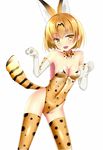  adapted_costume animal_ears bare_shoulders blonde_hair bow bowtie breasts cleavage ears elbow_gloves gloves kemono_friends kittysuit leotard looking_at_viewer open_mouth paw_pose puririn ribbon serval_(kemono_friends) serval_ears serval_print serval_tail short_hair simple_background small_breasts solo tail teeth thighhighs yellow_eyes yellow_leotard 
