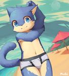 beach bulge cat clothed clothing cub dutch_angle feline looking_at_viewer male mammal moki navel outside seaside signature smile solo standing stretching swimsuit tight_clothing topless young 