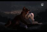  black_bars blue_fur brown_fur canine detailed_background female fur grass hair kitchiki lying male mammal moon night outside paws sky smile star starry_sky white_hair wolf 