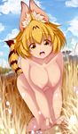  :d all_fours animal_ears areolae blonde_hair blue_sky breasts cloud collarbone day eyebrows_visible_through_hair hanging_breasts highres kemono_friends large_areolae large_breasts lips looking_at_viewer mountain nipples nude open_mouth outdoors psychopath_idiot puffy_nipples savannah serval_(kemono_friends) serval_ears serval_tail sky smile solo tail yellow_eyes 