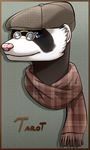  blue_eyes brown_fur clothed clothing eyewear ferret flatcap fur glasses hat headshot looking_at_viewer male mammal mustelid pink_nose shaza_(artist) solo tarot_osorio_(character) white_fur 