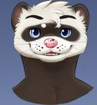  blue_eyes brown_fur ferret fur head_shot male mammal mustelid pink_nose shaza_(artist) smile solo tarot_osorio_(character) white_fur 