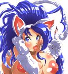  capcom darkstalkers felicia tagme 