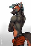  2017 anthro black_fur blue_eyes blue_fur boxerbriefs bulge canine clothing cross_fox fox fur grey_fur male mammal orange_fur simple_background solo tsaiwolf underwear valac white_background white_fur 