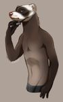  blue_eyes brown_fur clothed clothing eyewear ferret fur glasses looking_away male mammal mustelid pink_nose shaza_(artist) simple_background solo tarot_osorio_(character) topless underwear 