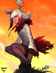  bangs black_footwear blunt_bangs evening fixro2n full_body fur_collar gradient_sky grass head_wings highres japanese_crested_ibis_(kemono_friends) kemono_friends legs_together long_hair long_sleeves looking_at_viewer multicolored_hair neck_ruff orange_sky pantyhose parted_lips red_hair red_legwear shade shirt shoes sky solo squatting streaked_hair sunlight two-tone_hair white_hair white_shirt yellow_eyes 