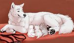  2017 baby black_nose blue_eyes breastfeeding brown_background canine cub fluffy fluffy_tail fur looking_to_side lying mammal marjani mother on_side pads_(disambiguation) parent pawpads paws simple_background smile tagme tattoo white_fur wolf young 