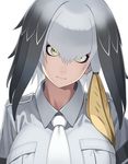  bangs black_hair breasts go_robots green_eyes grey grey_shirt head_wings kemono_friends large_breasts looking_at_viewer multicolored_hair necktie shirt shoebill_(kemono_friends) short_sleeves side_ponytail silver_hair simple_background solo staring upper_body white_background yellow_eyes 