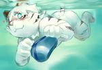  4_fingers blue_eyes blush clothing cub feline male mammal nude pink_nose sheeporwolf solo speedo swimsuit tiger underwater water young 