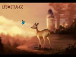 arthropod blurred_background butterfly camera cervine day deer detailed_background female fur hooves insect kitchiki lighthouse mammal outside sky standing tan_fur 