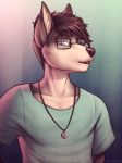  anthro canid canine clothed clothing eyewear glasses glopossum hair jewelry looking_at_viewer male mammal necklace simple_background solo 