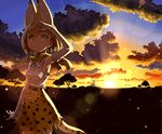  animal_ears animal_print armpits bare_shoulders belt blonde_hair bow cloud elbow_gloves extra_ears gloves kemono_friends looking_at_viewer nature outdoors serval_(kemono_friends) serval_ears serval_print serval_tail shirt short_hair skirt sky sleeveless sleeveless_shirt solo sun sunset tail tree white_shirt yellow_eyes yoshida_on 