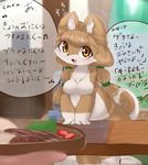  brown_eyes brown_hair chipar dog furry japanese long_hair open_mouth translation_request 