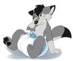  anthro blush canine diaper embarrassed fur green_eyes grey_fur male mammal pawpads paws poofy-shark sitting solo teeth wolf 