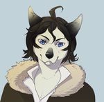  ambiguous_gender anthro canine clothed clothing fur hair looking_at_viewer mammal melamoryblack simple_background solo 