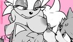  amy_rose big_breasts blaze_the_cat breasts female female/female hair rouge_the_bat sonic_(series) tc 