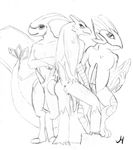  blaziken flygon johawk pokemon swampert 