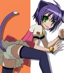  ahoge animal_ears ass bell bell_collar blue_hair blush cat cat_ears cat_tail collar green_eyes haruyama_kazunori jingle_bell kyouran_kazoku_nikki looking_back midarezaki_kyouka panties pleated_skirt purple_hair school_uniform short_hair skirt smile solo tail thighhighs underwear upskirt white_panties wristband 