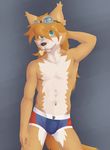  anthro armpits briefs bulge canine clothing dog foxjesus male mammal red_savarin simple_background solatorobo solo underwear video_games 