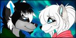  ambiguous_gender anthro canine clothed clothing duo facial_hair fur goatee hair mammal polarlights smile watermark 
